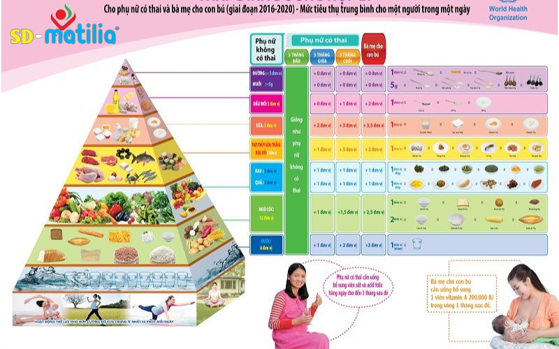 Tháp dinh dưỡng dành cho mẹ bầu theo từng giai đoạn