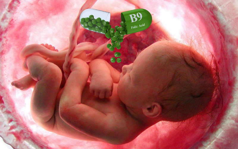 Sữa bầu Matilia bổ sung đủ lượng axit folic cần thiết giúp phòng ngừa dị tật ống thần kinh ở thai nhi