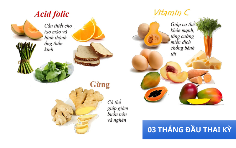 Axit Folic và các loại Vitamin giúp mẹ tăng cương miễn diện và giúp bé phát triển toàn diện