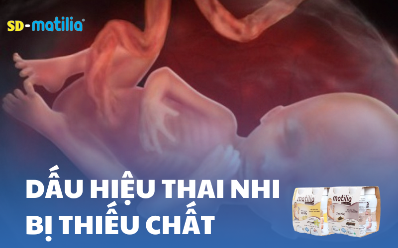 Dấu hiệu thai nhi bị thiếu chất và cách bổ sung dưỡng chất cho thai nhi