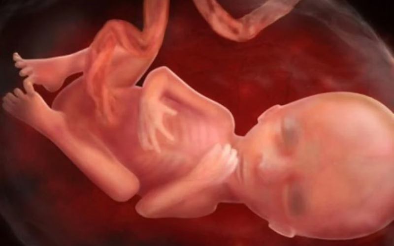 Thai nhi thiếu chất có nguy cơ gặp phải các vấn đề gì?