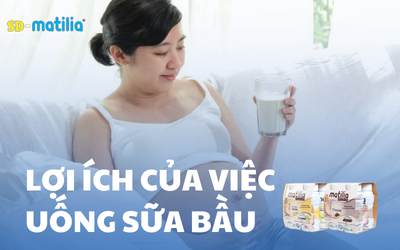 Lợi ích của việc uống sữa bầu khi mang thai