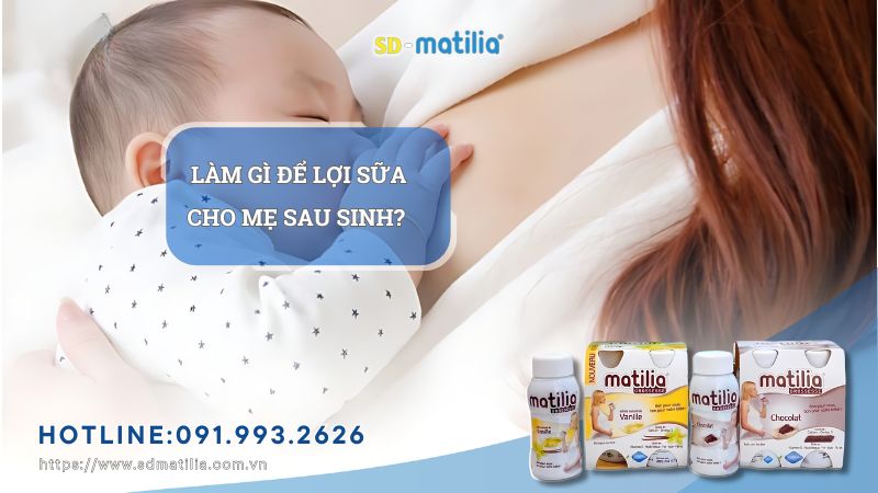 Sữa mẹ được tạo ra như thế nào? Làm gì để lợi sữa cho mẹ sau sinh?