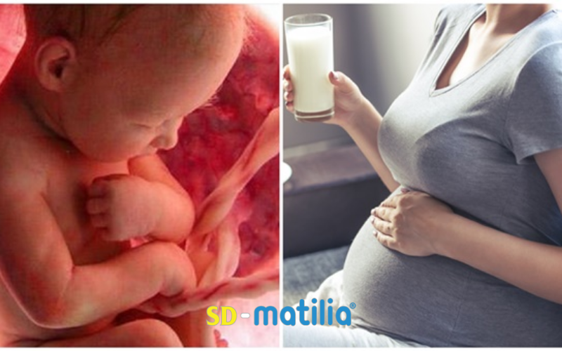 Sữa bầu Matilia có thể dùng được từ tháng thứ mấy?