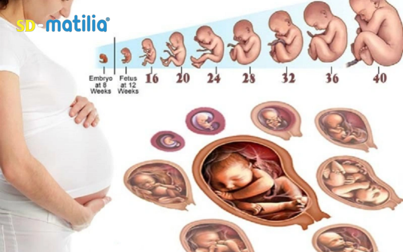 Theo dõi sự phát triển của bé thường xuyên sẽ giúp phát hiện sớm những bất thường 