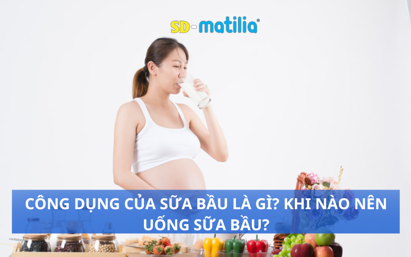 Công dụng của sữa bầu là gì? Khi nào nên uống sữa bầu?