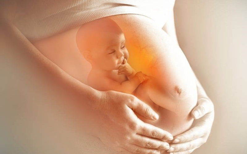 Tăng cường sức khỏe xương