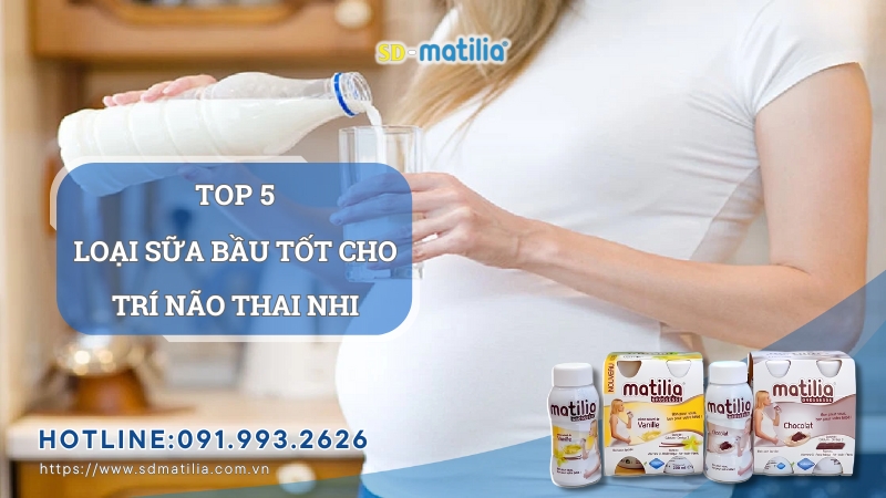 Top 5 sữa bầu tốt cho trí não thai nhi được ưa chuộng