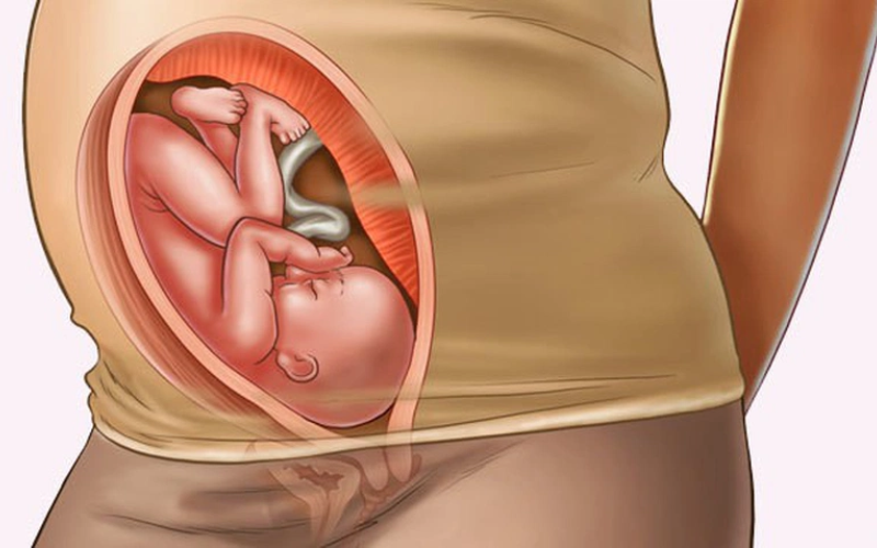Tam cá nguyệt thứ ba (từ tuần 27 đến khi sinh)