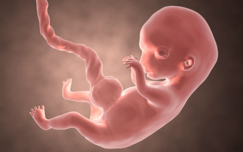 Tam cá nguyệt là gì? Mẹ bầu cần lưu ý những gì trong từng tam cá nguyệt?