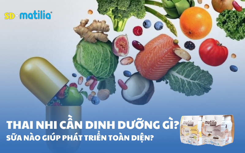 Thai nhi cần cung cấp dinh dưỡng gì? Sữa nào giúp phát triển toàn diện?