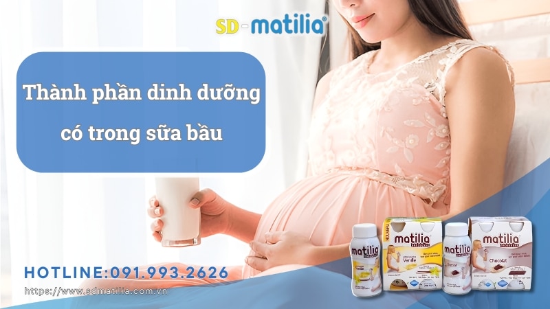 Sữa bầu là gì? Thành phần dinh dưỡng có trong sữa bầu?